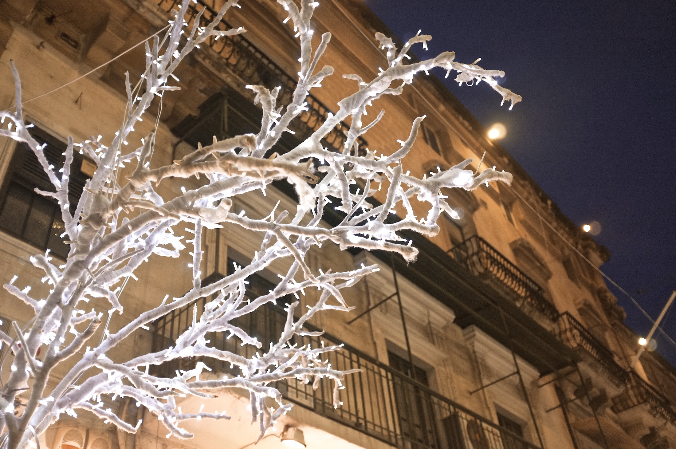 Christmas Lights in the City - Valletta